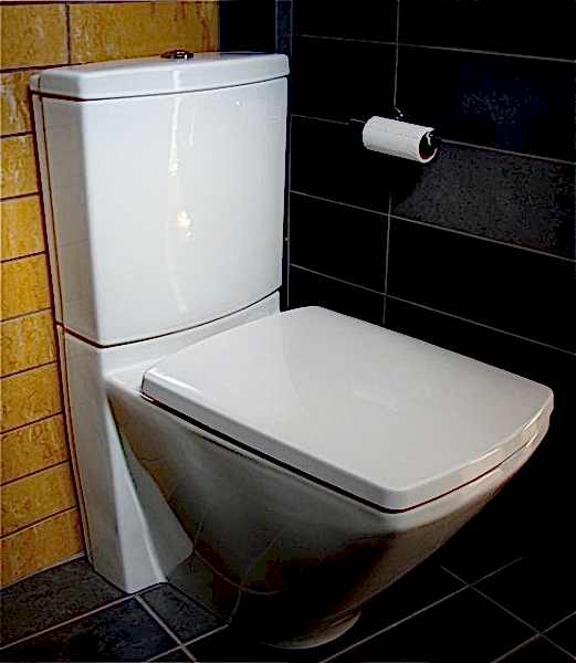 Bathroom Toilet Installation