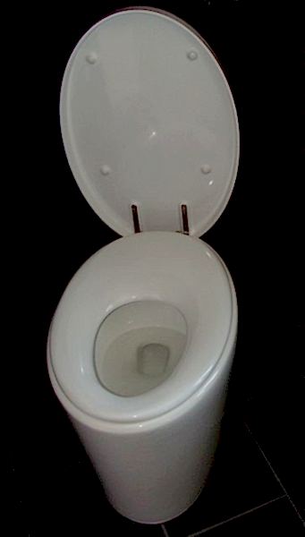 Bathroom Toilet Installation
