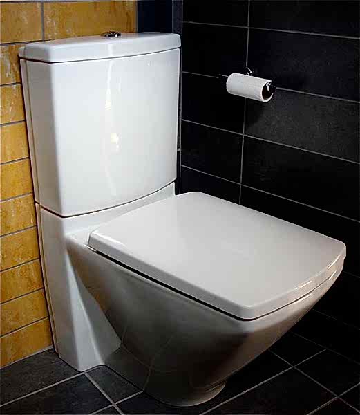 Bathroom Toilet Installation 