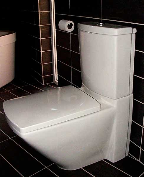 Bathroom Toilet Installation 