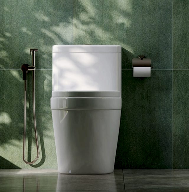 Bathroom Toilet Installation 